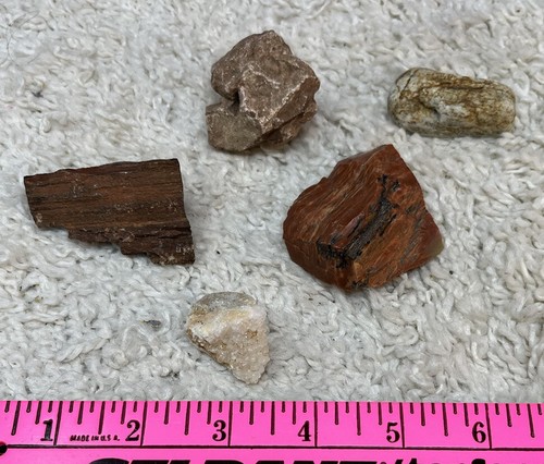Petrified Wood & Miscellaneous Aquarium Rocks Collectible Fish Tank Decorations - Picture 2 of 3