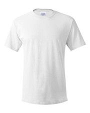 Hanes Unisex Essential-T T-Shirt - 5280