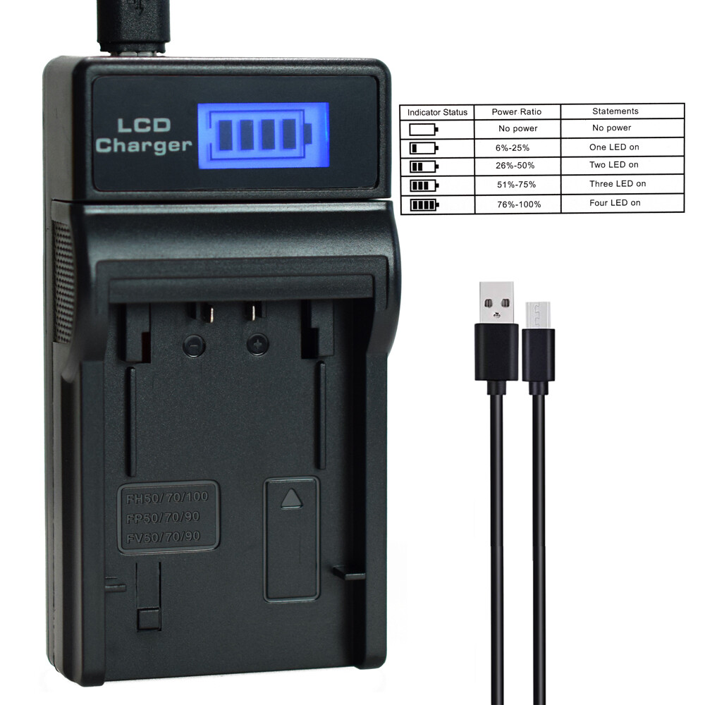 Pack Batterie DSTE Pour Sony NP-FV100 - 2 Batteries + Chargeur Voyage - Compatible Nombreux Modèles