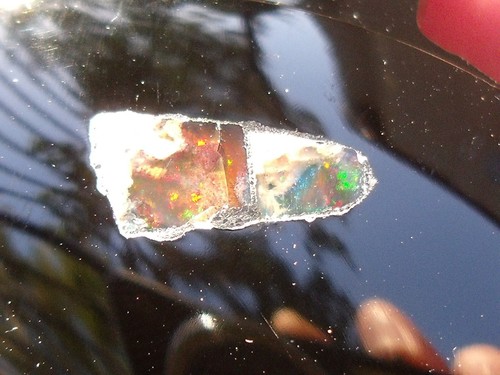 850 CTS Black Obsidian Turtle with Cantera Fire Opal Inlay - Picture 13 of 23