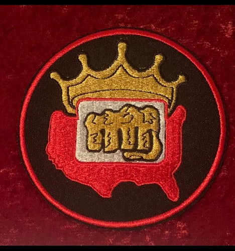 ELVIS KARATE BADGES -FROM KANG RHEE MEMPHIS OFFICE - NEVER USED - RARE - Imagen 3 de 6