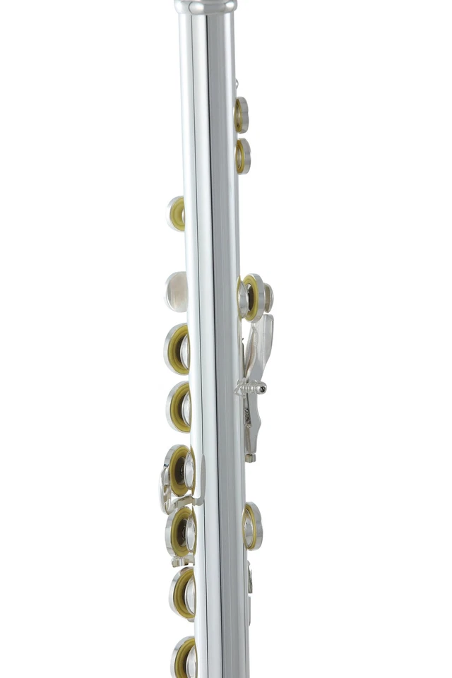 Roy Benson FL402E flauto traverso do Argentato fori chiusi non in linea FL-402E - Immagine 3 di 4