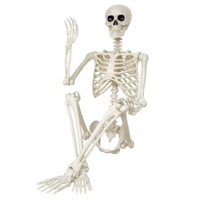 Halloween Skeleton Decorations,36" Posable Human Skeleton Decorations 36inch