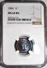 NGC MS-64 BN 1884 Indian Head Cent, Gorgeously Toned w/ Radiant Mint Luster!