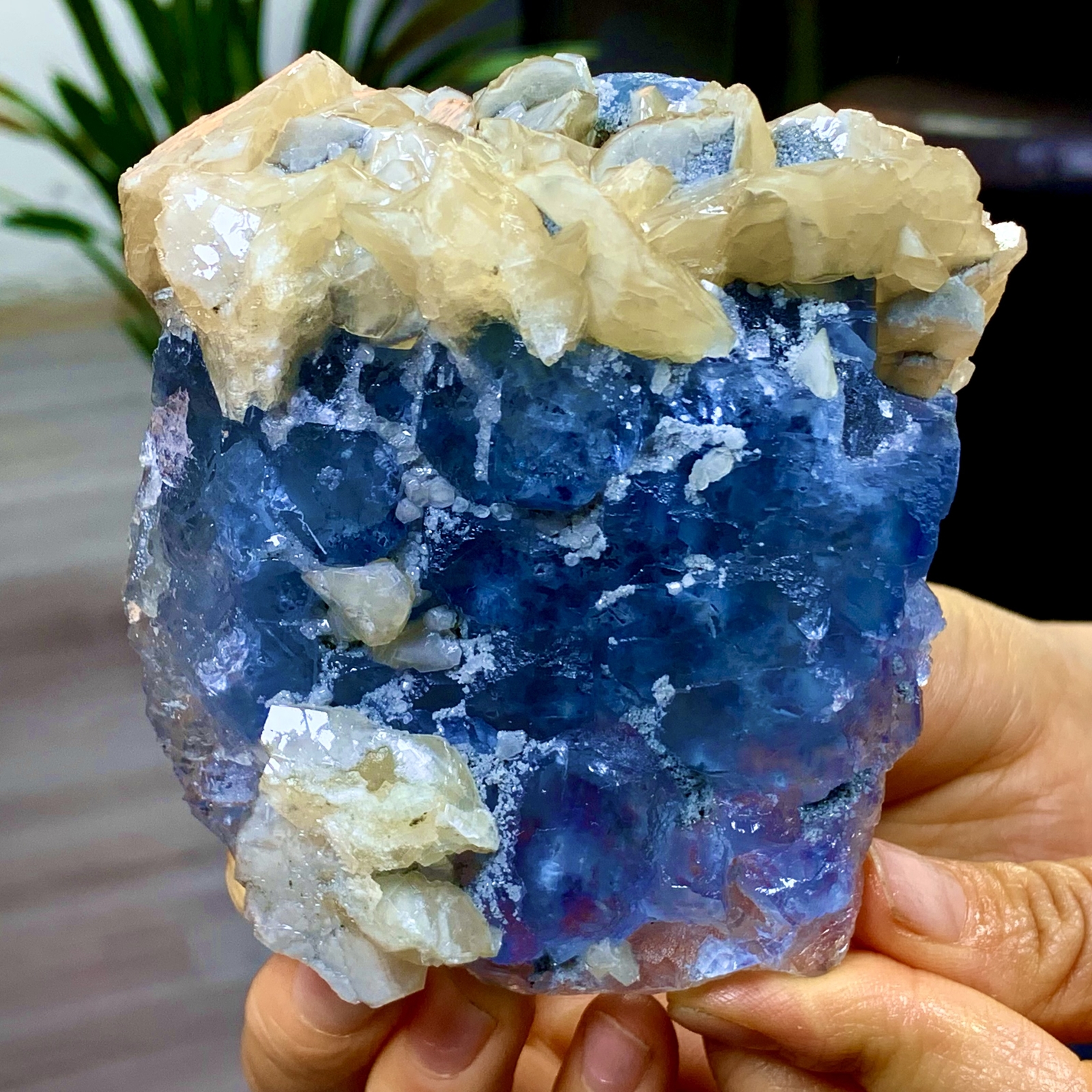 1.22LB Rare Blue Cubic Fluorite with Yellow Calcite Mineral Crystal Specimen from China