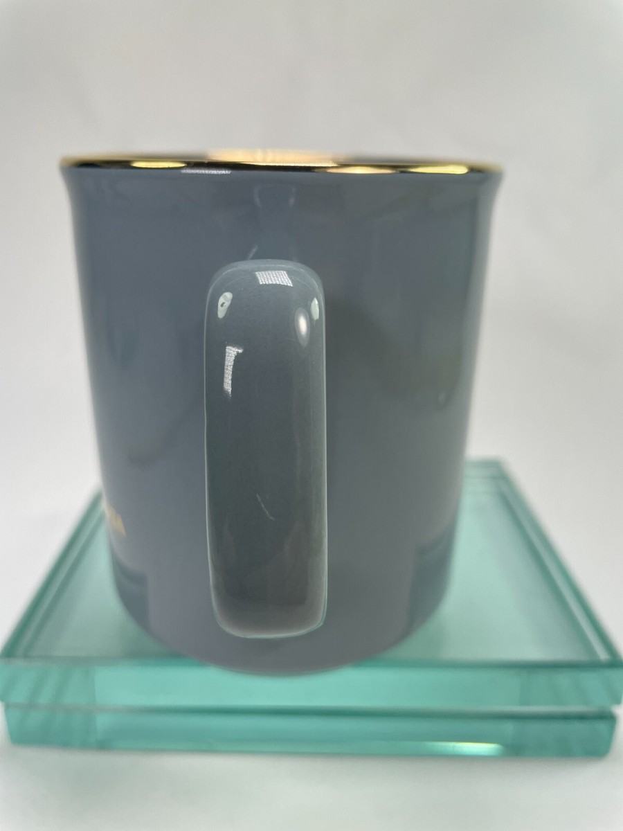 ナイロン100℃ 32nd SESSION 15years Anniversa… SOZLEO2405-CC – Ozone Gymnastics Apparel