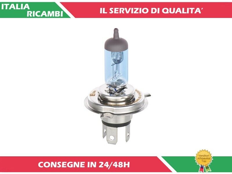Foto 10 di 10
