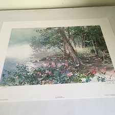 Wild Rose Point-limited Edition Print-nita Engle