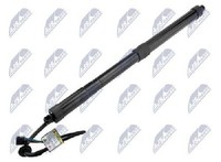 Original NTY Gasfeder Koffer-/Laderaum AE-HY-046 FüR Hyundai