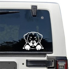 Rottweiler Dog Decal - Car Window Vinyl Bumper Sticker Matte White -Peels Corner