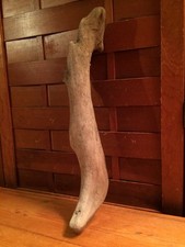 Beautiful 14" DRIFTWOOD Art Piece Terrarium Taxidermy Aquarium Beach Wood DECOR