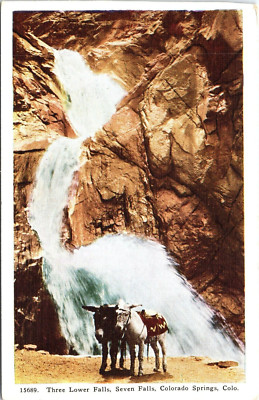 Colorado Springs, Colorado, Postcard, Mules at Seven Falls, Three Lower Falls