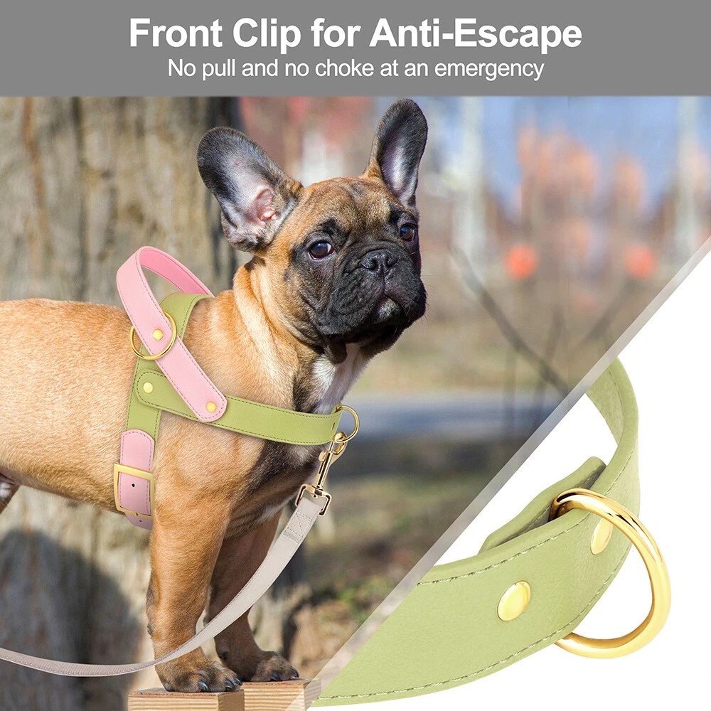 Dog Harness Soft Leather with Handle for Pet Walking Adjustable Front Leading