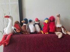 Ty beanie babies birds lot  8 beanies in all 