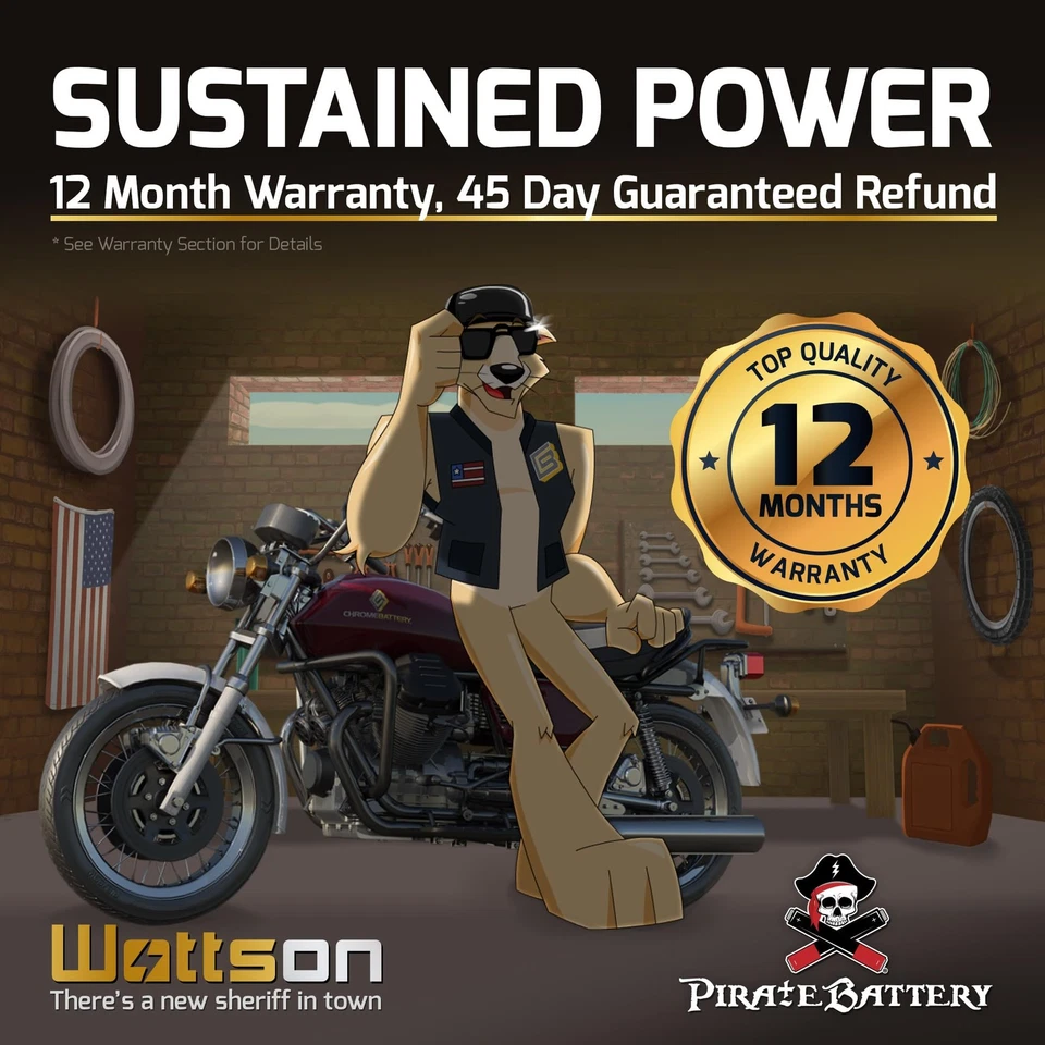 YTX20CH-BS High Performance - Maintenance Free - Sealed AGM Motorcycle Battery Foto 4 de 4