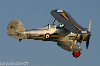 Model Airplane Plans (FF): Gloster Gladiator 1/12 Scale 32'' for 1/2A (.75-1cc)