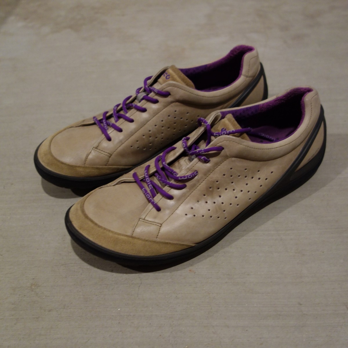 Kalinga Ashok Vans Fuego Zapatillas Pintar Tipos De Cerdas De