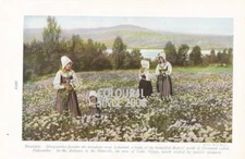 SWEDEN MARGUERITES MEADOW near LEKSAND OSTERVIK SILJAN C 1926 ILLUSTRATION PRINT