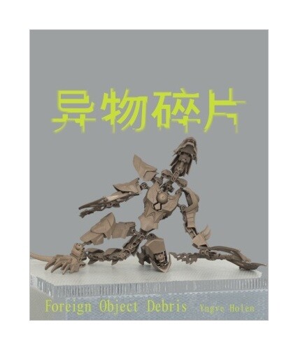 Thumbnail - Foreign Object Debris Von Yngve Holen