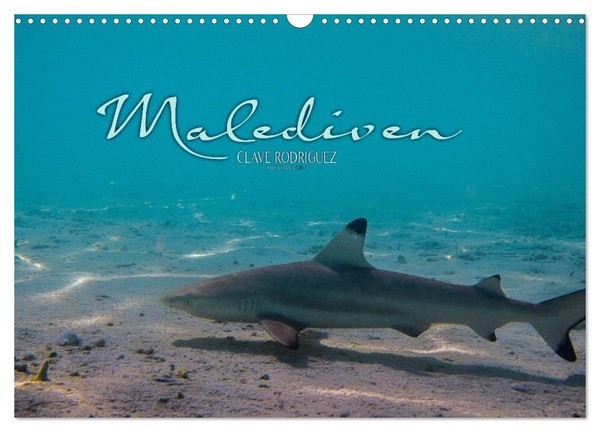 "Calendar 2027 · US Version · Maldives Underwater World I (Wall Calendar 2027 17\""-image