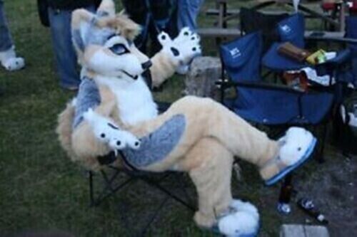 Pelziger Husky Hund Fursuit Maskottchen Kostüm Kunstfell Anzug Cosplay Geburtstagsparty - Bild 3 von 3
