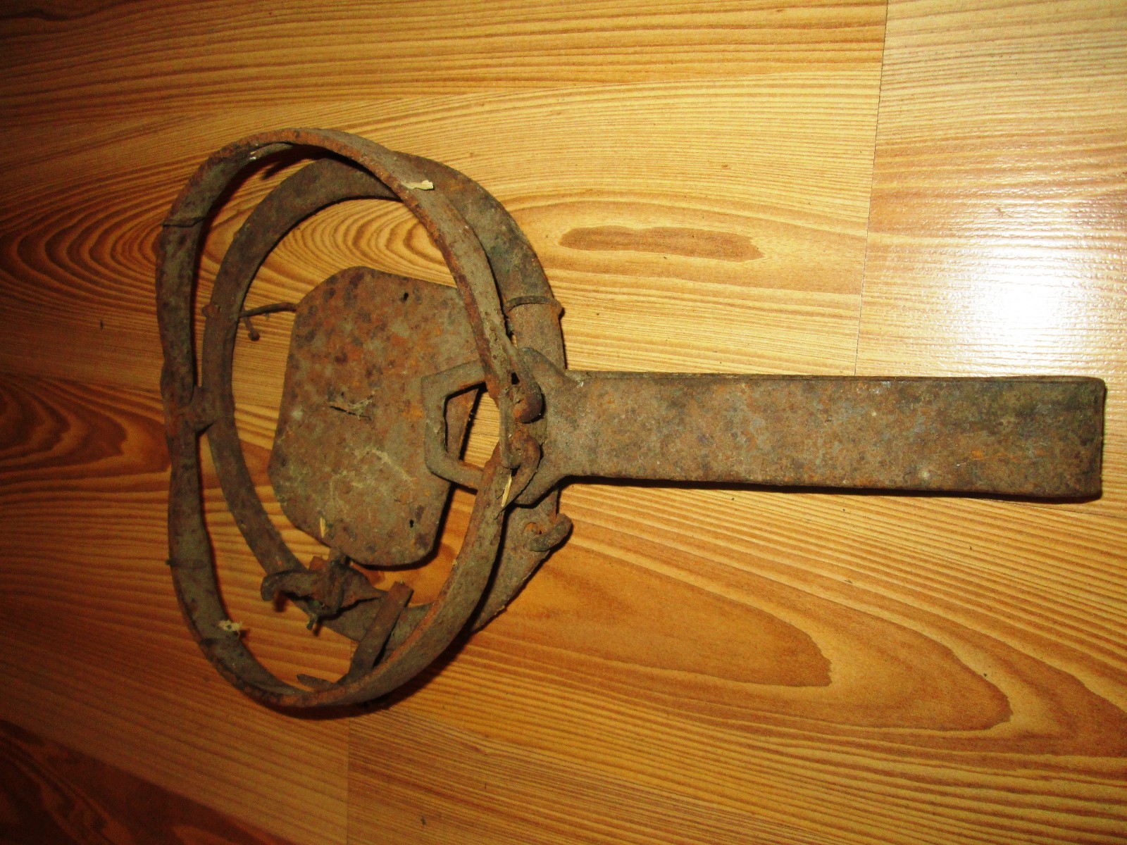 Bild 6 von 6