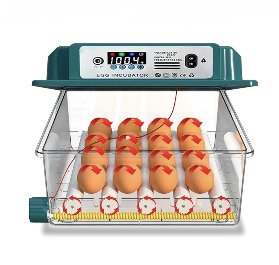 Incubatrice per Uova Automatica Incubatrice 16 Uova Gallina Semi-professionale - Image 4 of 4
