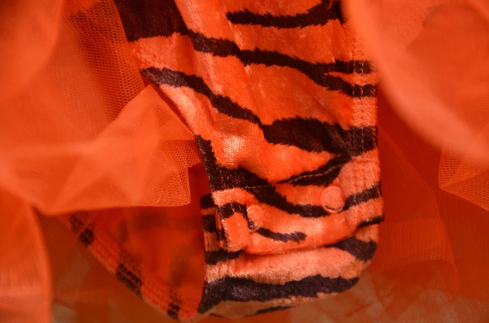 Pequeño Tigre Gymboree Disfraz Tutú Elegante Talla 18-24 Meses - IMPRESCINDIBLE VER Foto 4 de 4