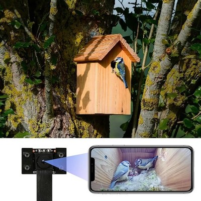 Wifi Bird Box Camera, 4K HD WLAN, Live Video to Phone, Easy Installation to Most