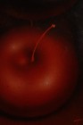 Bild 9 von 11