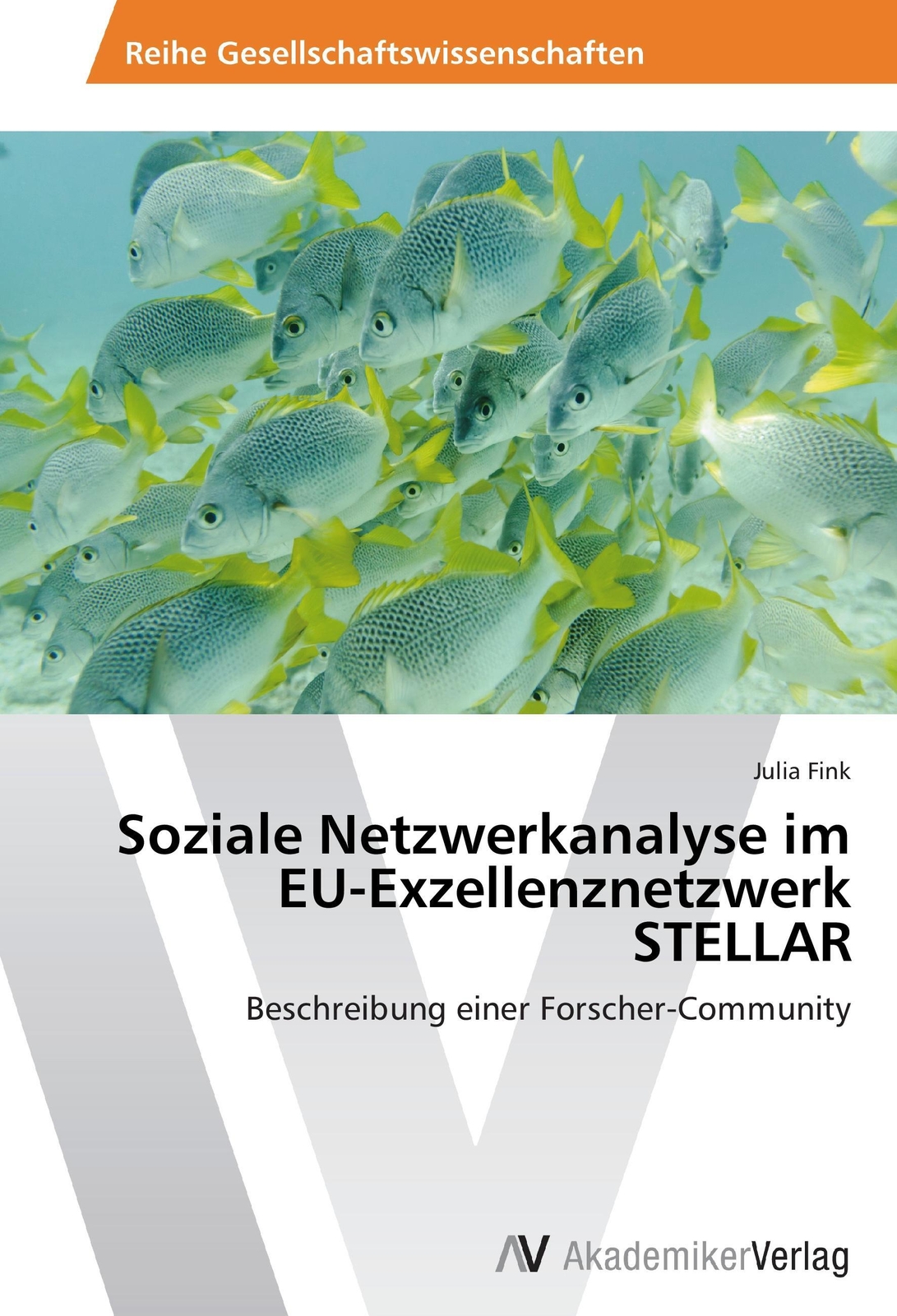 Thumbnail - Julia Fink | Soziale Netzwerkanalyse Eu-exzellenznetzwerk Stellar |