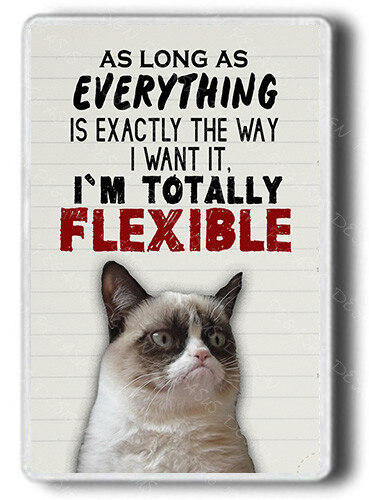 Lustiger Magnet, Freitag- Shitfaced Winnie-Ferkel, Ich bin flexibel, lustiger Katzenmagnet - Bild 2 von 4