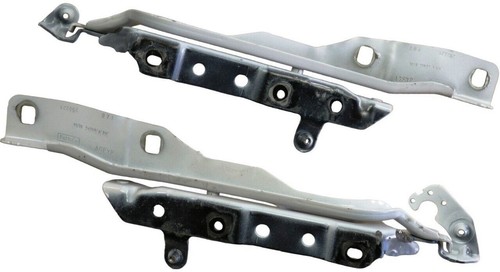 17-22 FORD SD R & L Hood Hinge SET HC3Z16796B HC3Z16797B OEM Factory