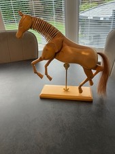 Wooden Horse Equestrian Articulated- Manikin Mannequin Sculpture