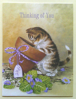Biglietto Auguri Gatto Unpots Violetta Vuoto Non Firmato Vintage Amicizia #A44