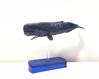 Japan Exclusive Colorata Deep Sea Sperm Whale Fish Figure