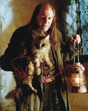 DAVID BRADLEY signed autograph 20x25cm HARRY POTTER in person autograph COA
