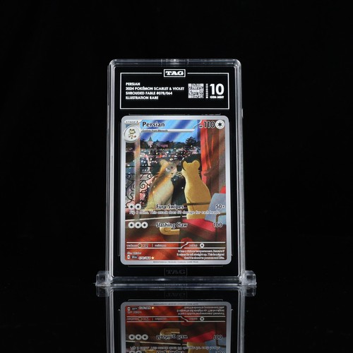 Persian graded TAG 10 for sale on eBay
