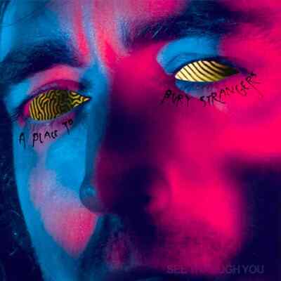 A Place To Bury Strangers | Vinyl LP | See Through You
