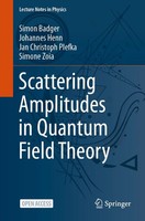 Simon Badger (U. A.) | Scattering Amplitudes In Quantum Field Theory | Buch | Xv