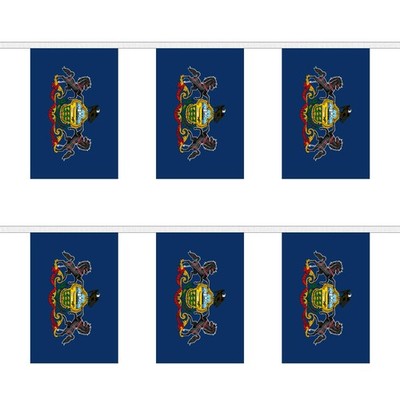 Flagtex Pennsylvania rechteckige Wimpelkette