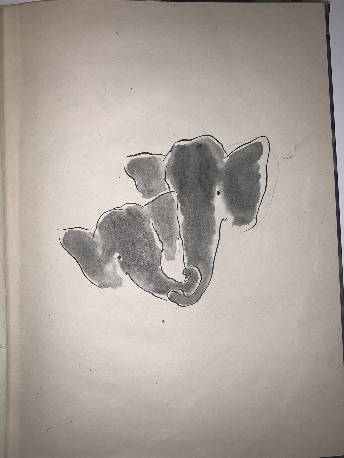 Picture 4 of 5