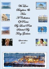 We Love Brighton and Hove Special Edition 2019 by Terry Godwin (English) Paperba