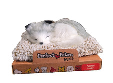 Perfect Petzzz Minis Alaskan Husky, Realistic, Lifelike Stuffed Interactive Plus