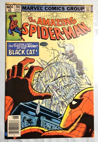 Amazing Spider-Man 205 Black Cat Marvel Comics Newsstand VF
