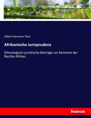 Afrikanische Jurisprudenz | Buch | 9783743389618