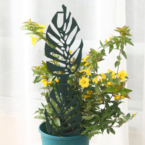 2Pcs Plant Climbing Frame Plant Support Trellis Flower Vine Climbing Stand Rack - Picture 2 of 12