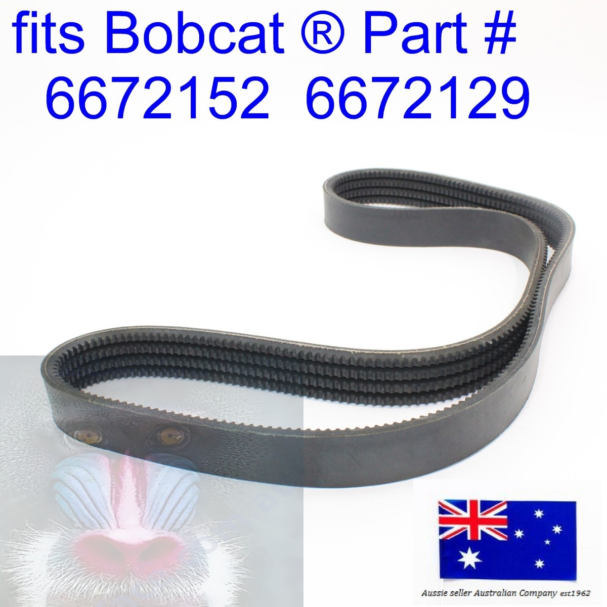 fits Bobcat Main Pump Drive BELT 6672152 6672129 863 864 873 T200