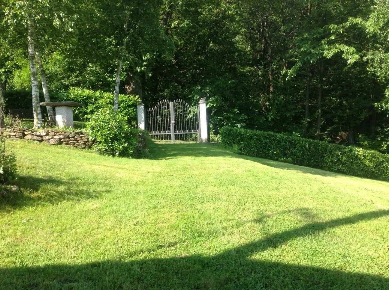 Bild 11 von 12
