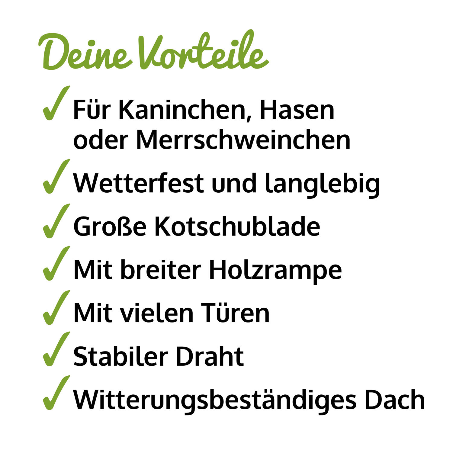 Bild 11 von 11